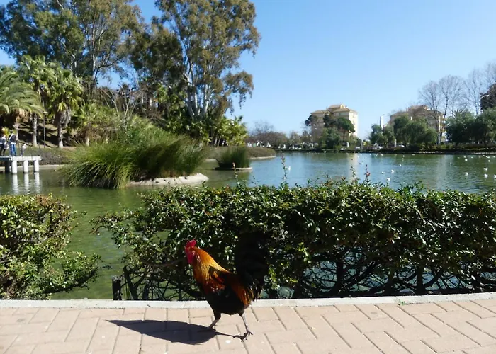 La Carihuela - 3 - Costa Sol * Torremolinos